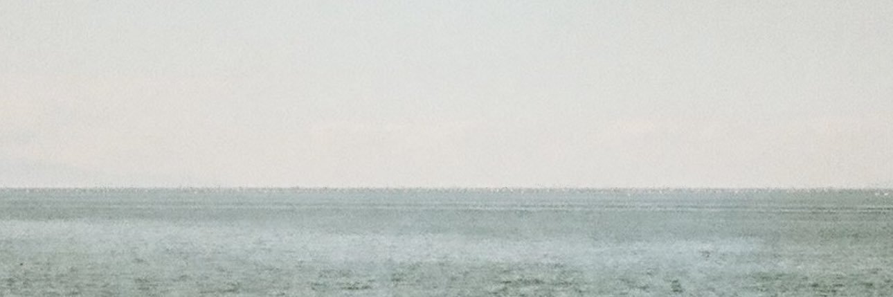 🌻🌻🌻 banner