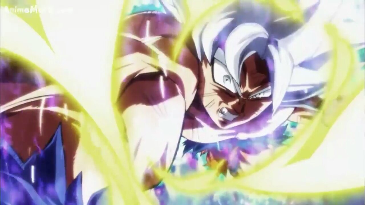 Fran Zavala banner