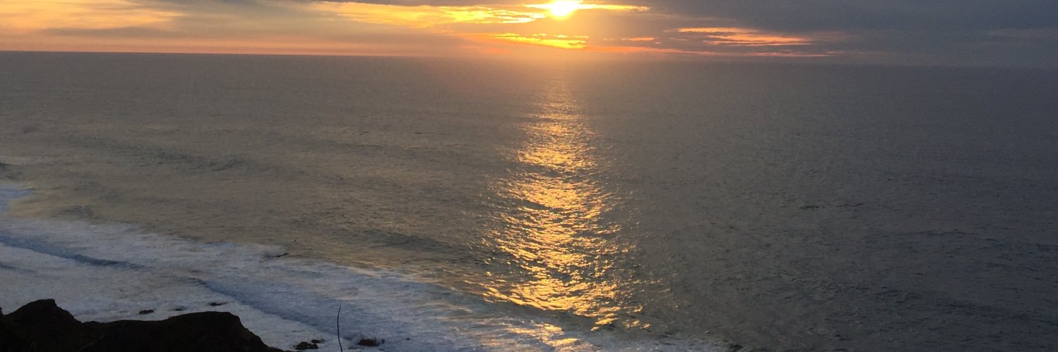 LorieSavin's profile banner image