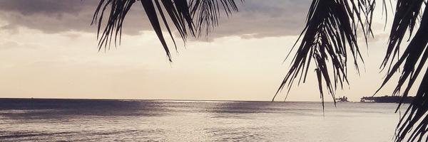 Tr4derRD Profile Banner