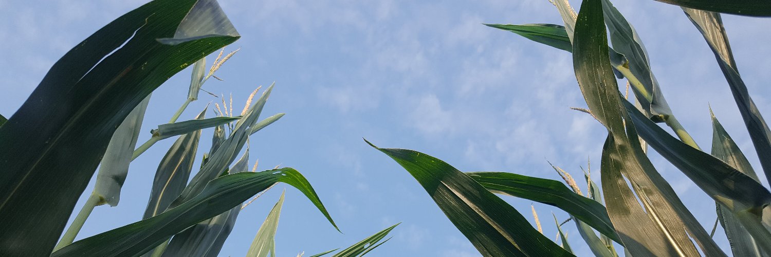 Stephanie Karhoff banner