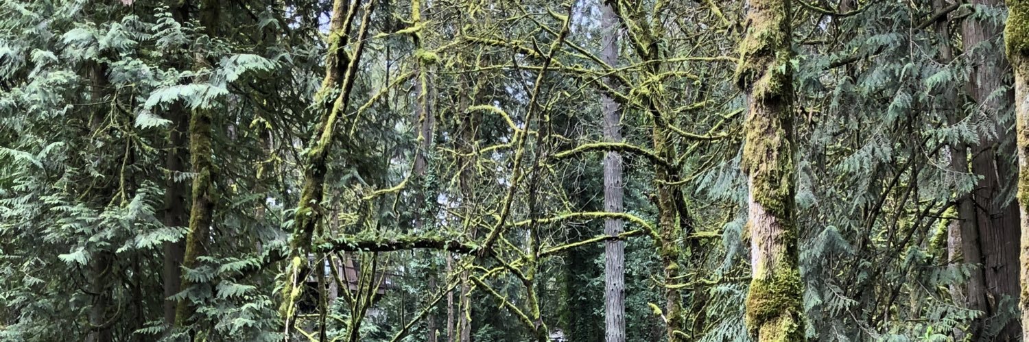 ashtacular42's profile banner image