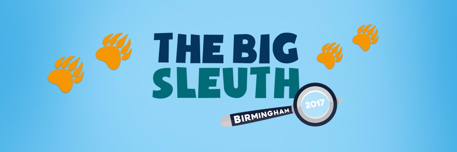 TheBigSleuth Profile Banner