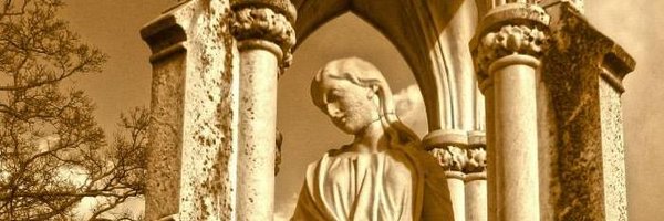 charonly1 Profile Banner