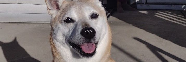 RoSpacesingOut's profile banner image