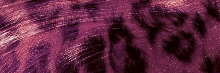 skyyyhlerr's profile banner image
