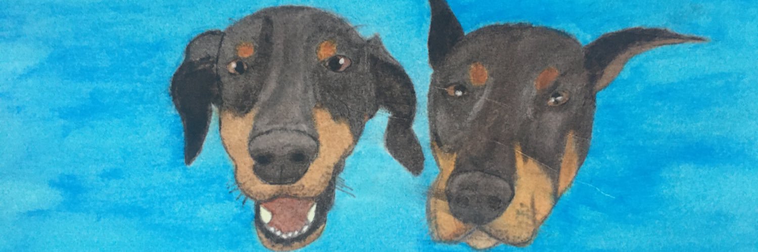 briansaurus101's profile banner image