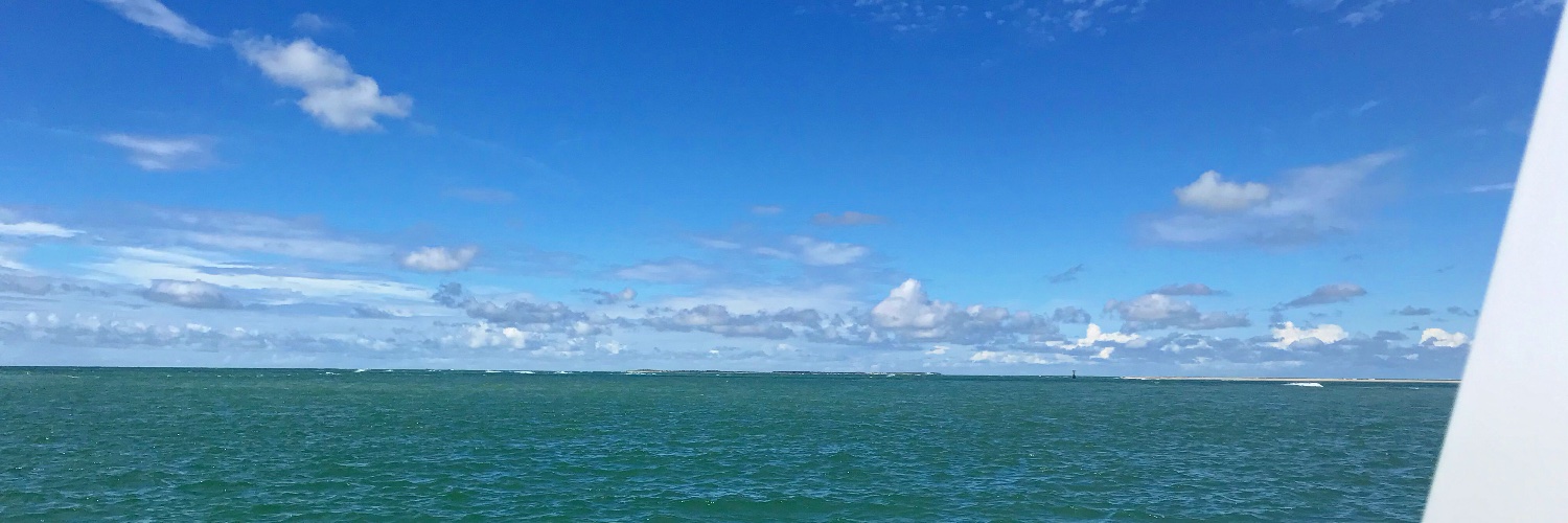 seasaltnc's profile banner image