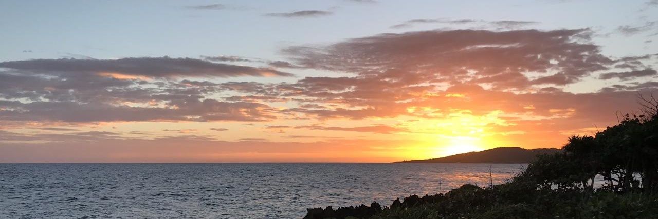 titi_roatan's profile banner image