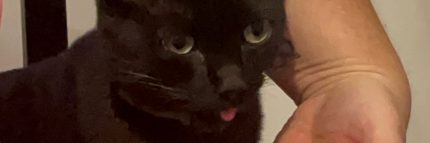 eirual16's profile banner image