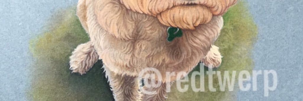 RedTwerp's profile banner image