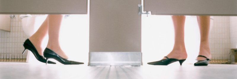 The_Toilettes's profile banner image