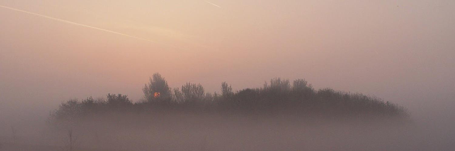 lavender_heaux's profile banner image