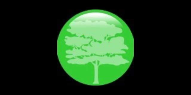 bernardoverano's profile banner image