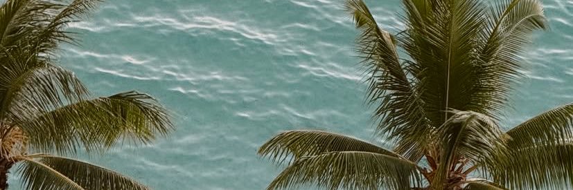 DanielaTArce's profile banner image