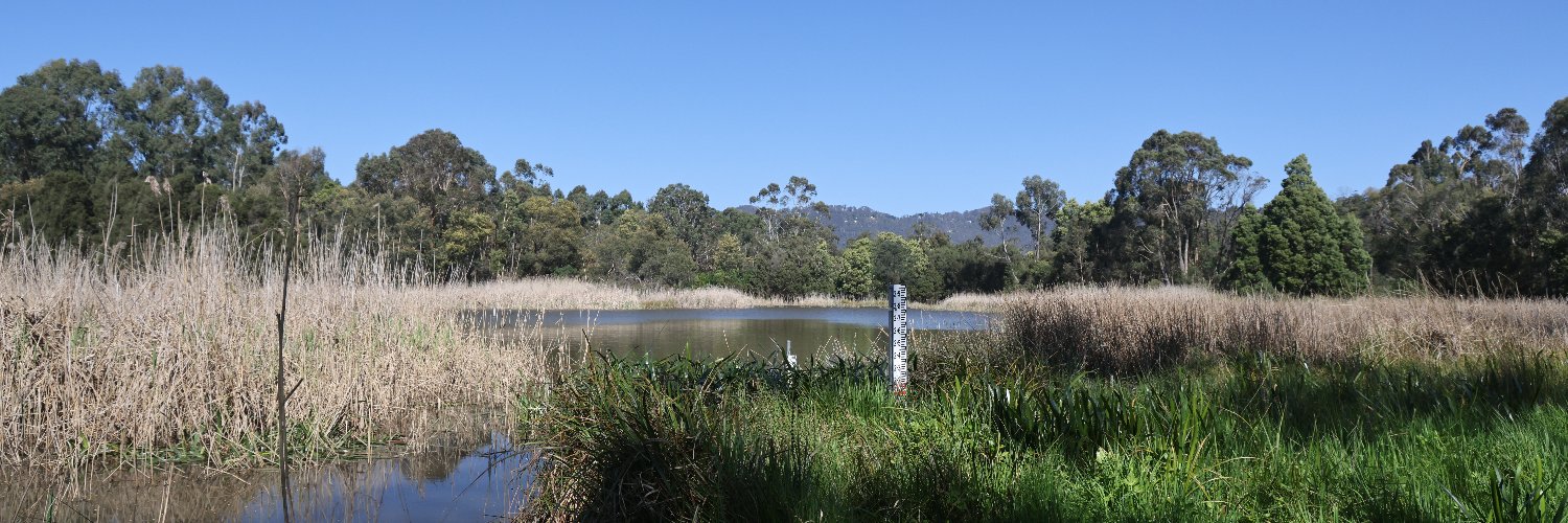 Time for a reset. banner