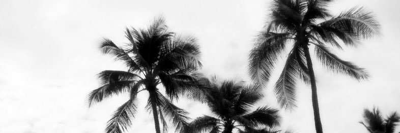 X0X0_M's profile banner image