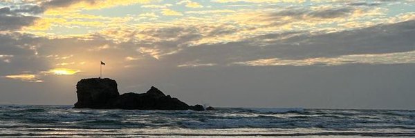 sajigbriggs Profile Banner