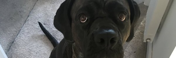 BeckyMarie80 Profile Banner
