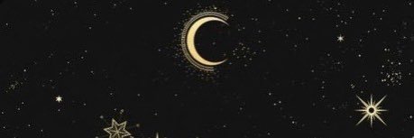 capricornistic's profile banner image