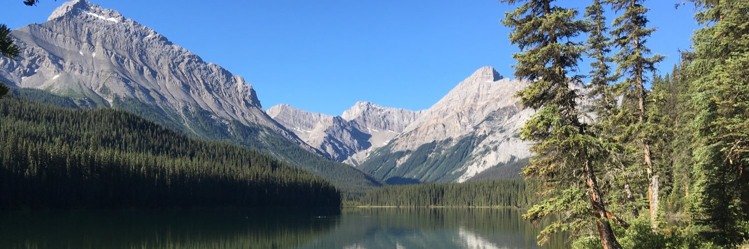 Rummee1's profile banner image