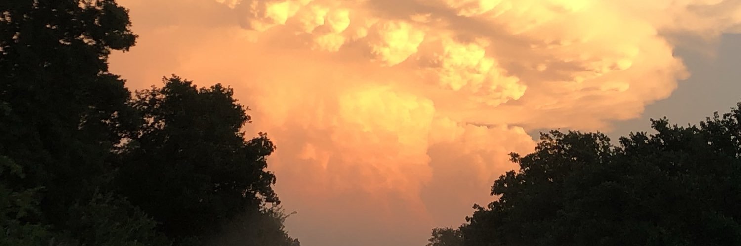 Desirae Boucher banner