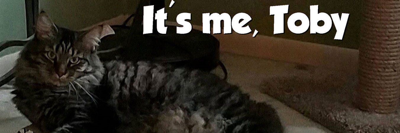 Red Alert Toby banner