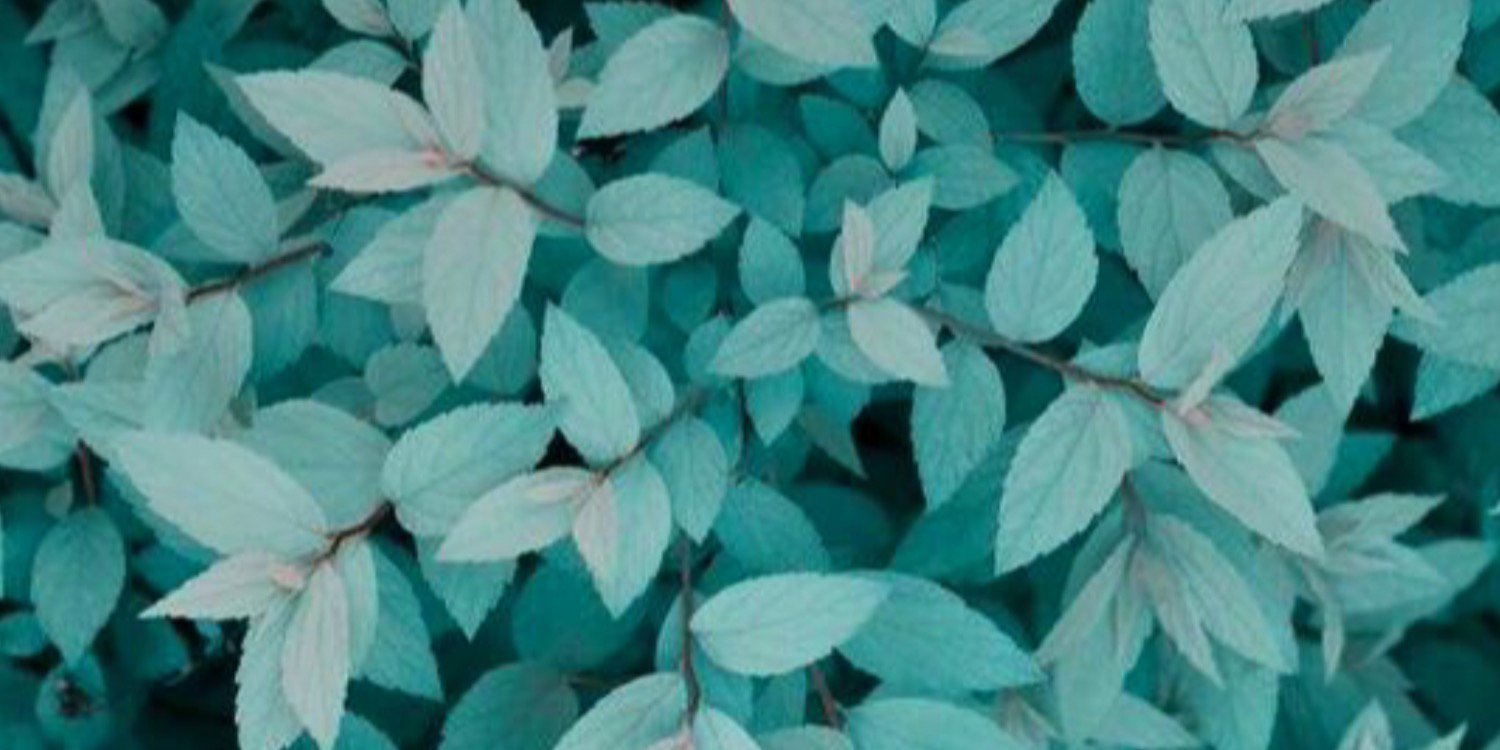AJoselline's profile banner image