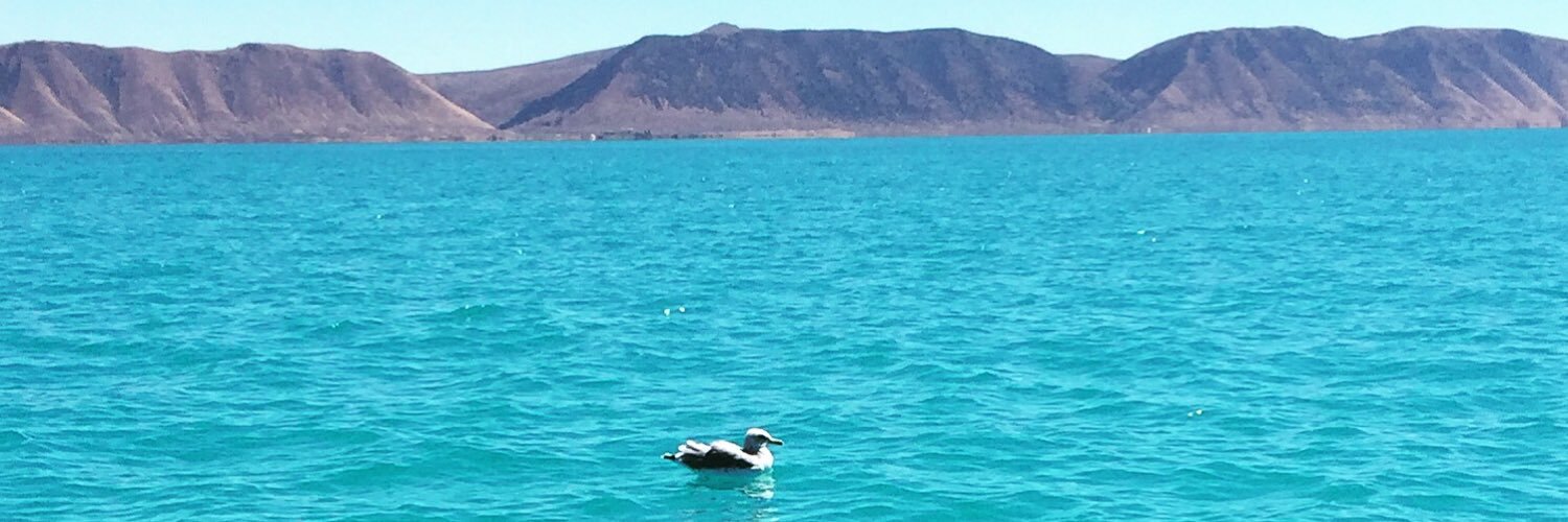 Jennie Wilder banner