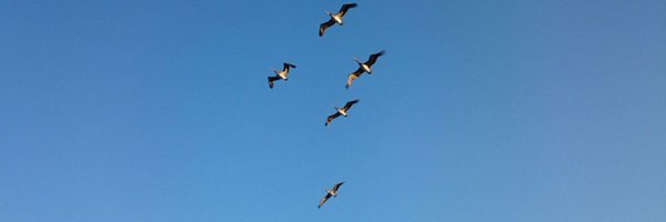 urielescobarb Profile Banner