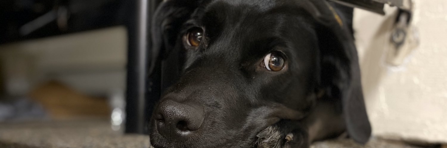 warnerb_'s profile banner image