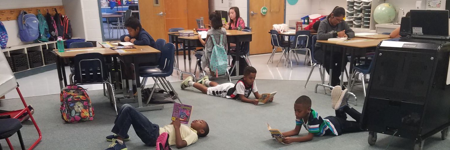 Miss Veenstra banner