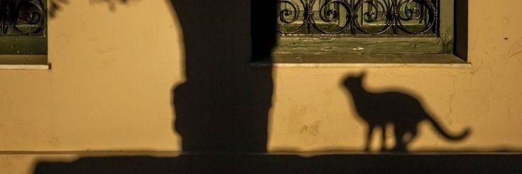 missomniaa's profile banner image