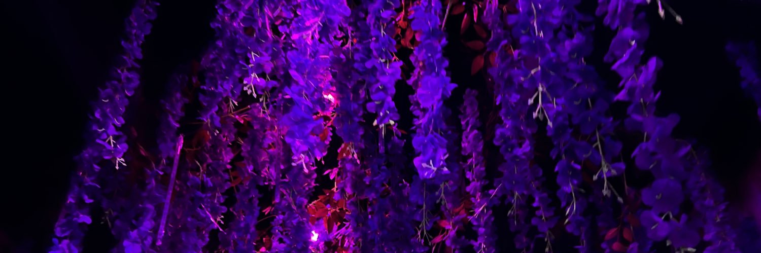 RoxyFaithAlexandria banner