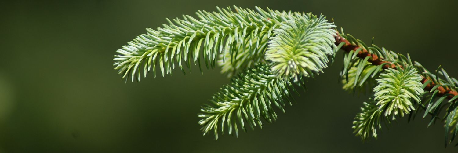 fvergar2's profile banner image