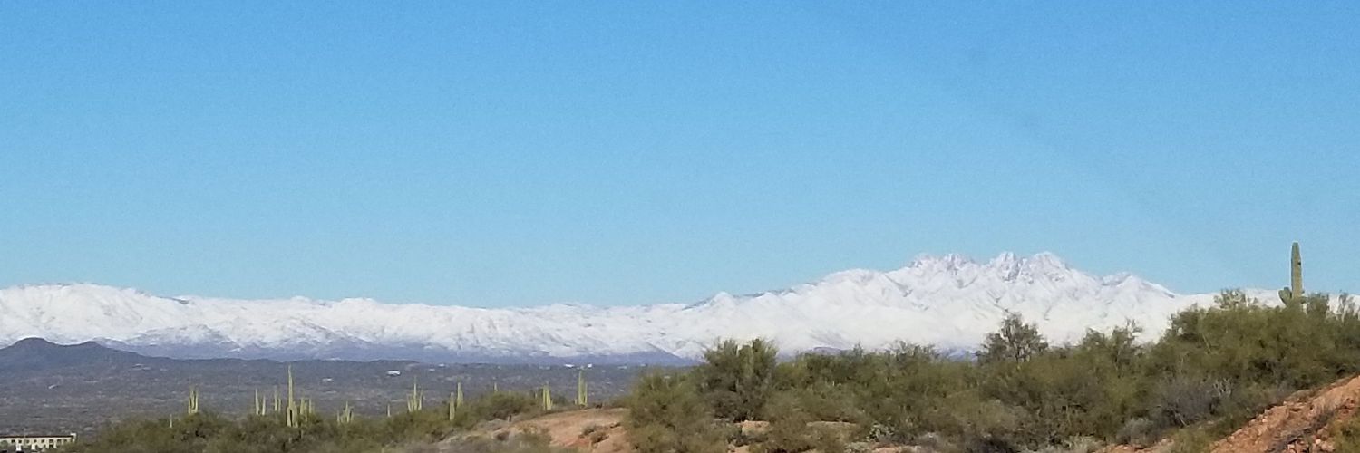 nicolefestinger's profile banner image