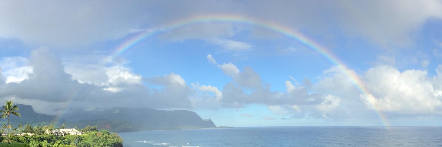 GoNinjaKitty's profile banner image