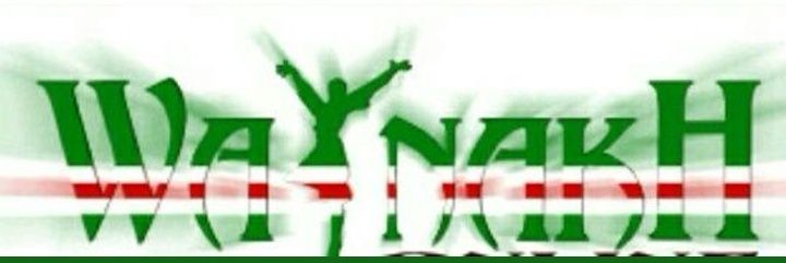 Raed NB banner