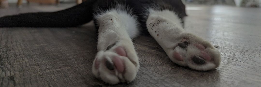 katie_ileen's profile banner image