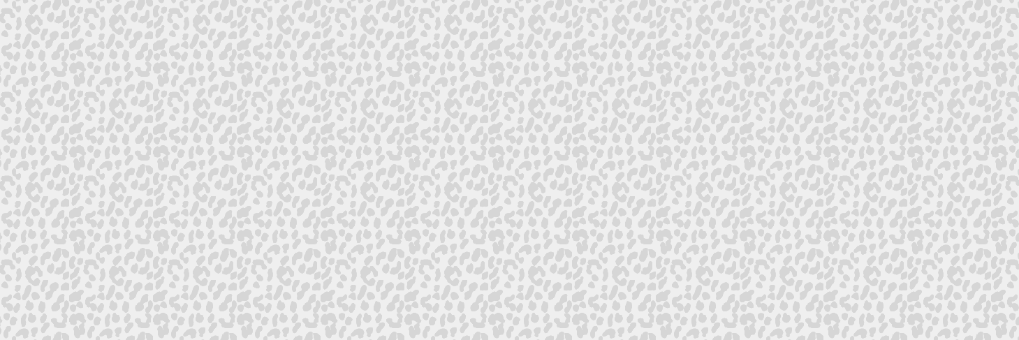 bvytal's profile banner image