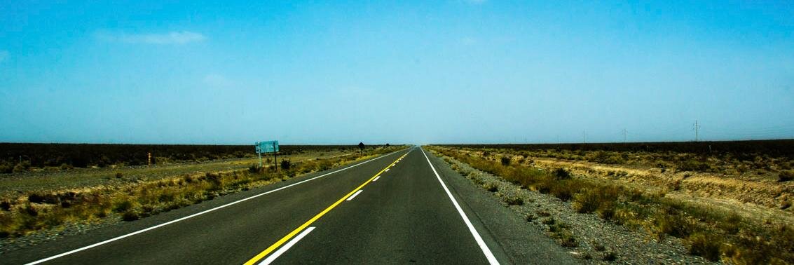 Caro Castro 💚 banner