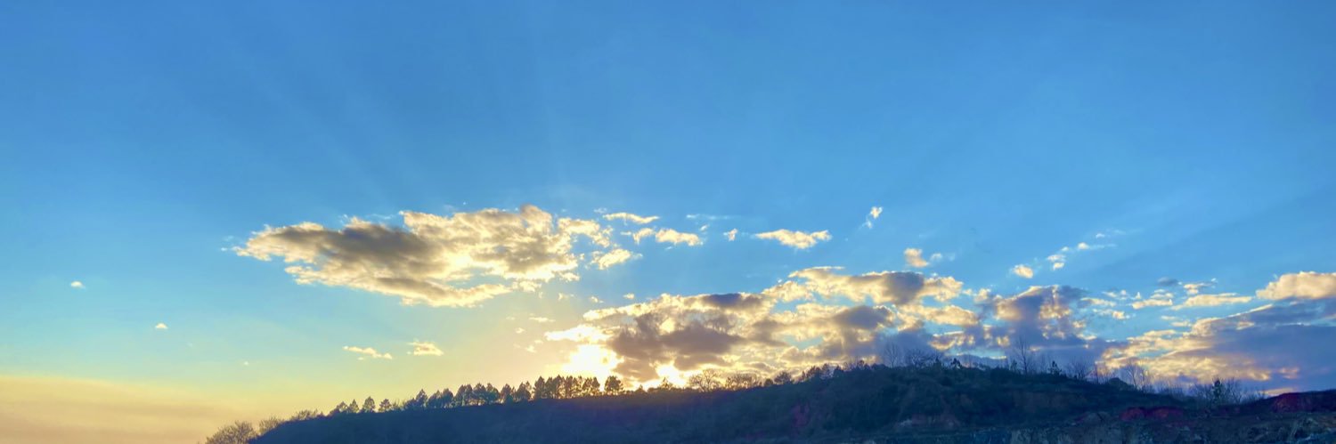 nickspurlinn's profile banner image
