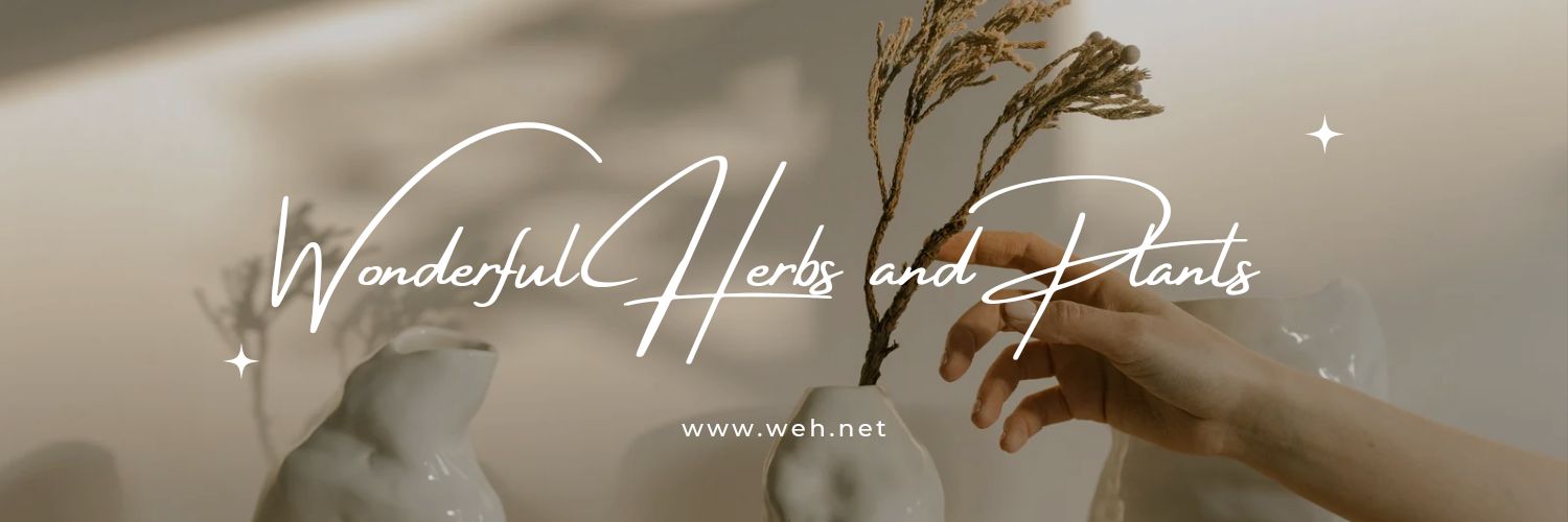 𝓦𝓸𝓷𝓭𝓮𝓻𝓯𝓾𝓵 𝓗𝓮𝓻𝓫𝓼 𝓪𝓷𝓭 𝓟𝓵𝓪𝓷𝓽𝓼 banner