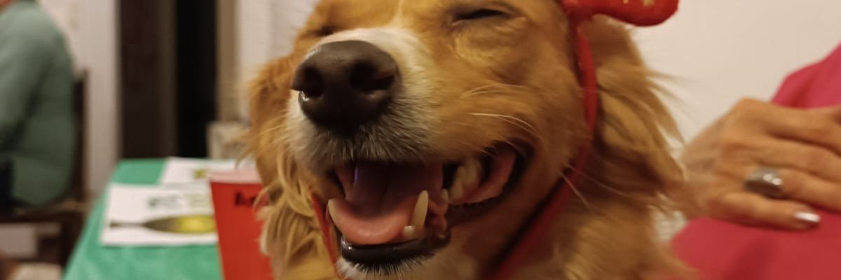 Ecztik's profile banner image