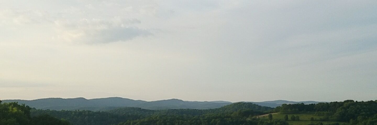 WVUDSG's profile banner image