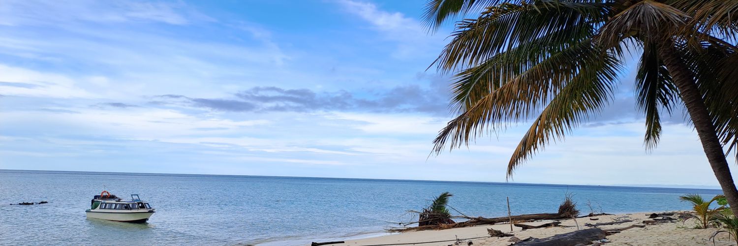 gendhiis's profile banner image