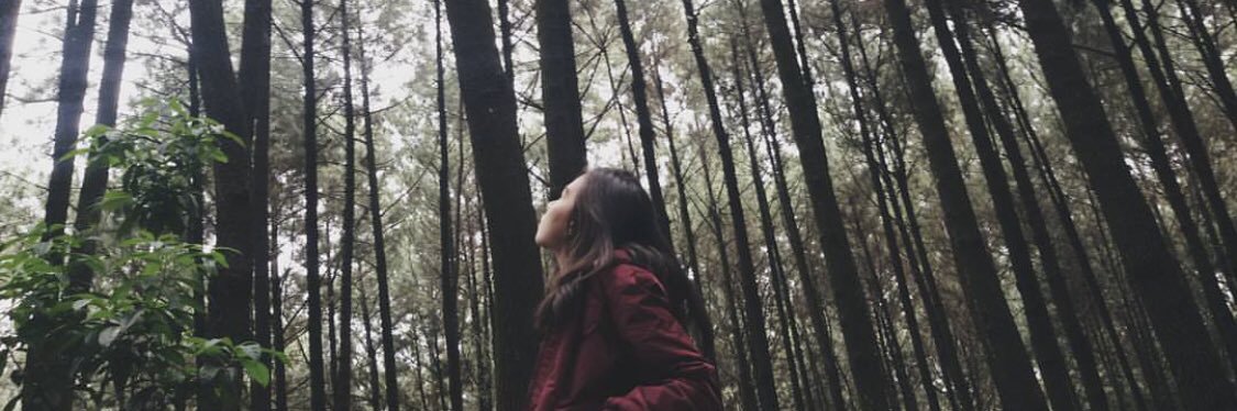 desianaks's profile banner image