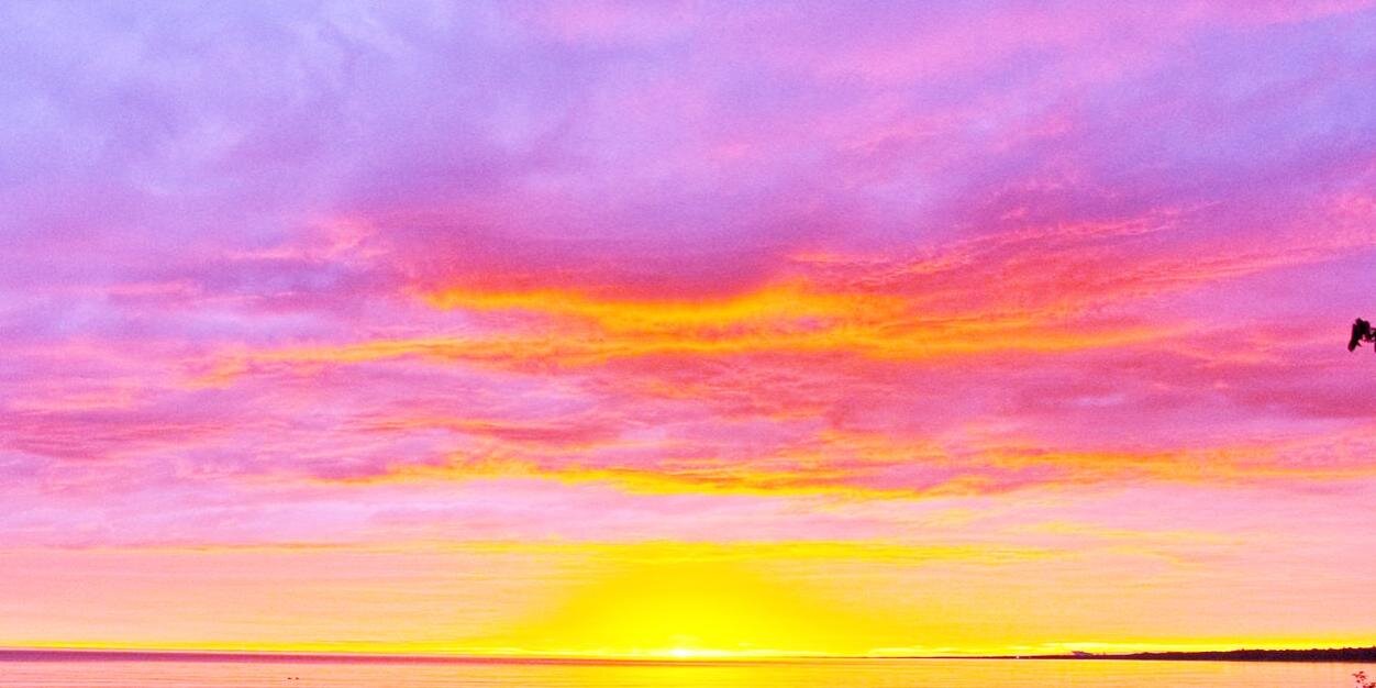 SunriseGryphon's profile banner image