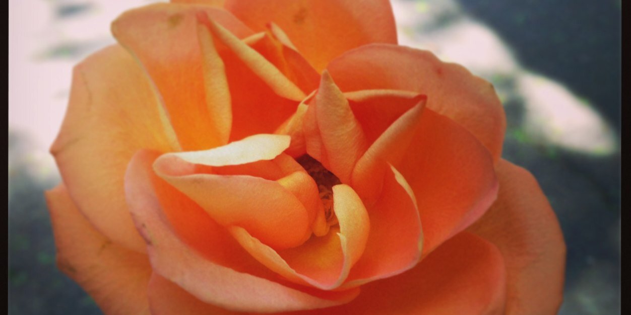 ceeemcee_'s profile banner image