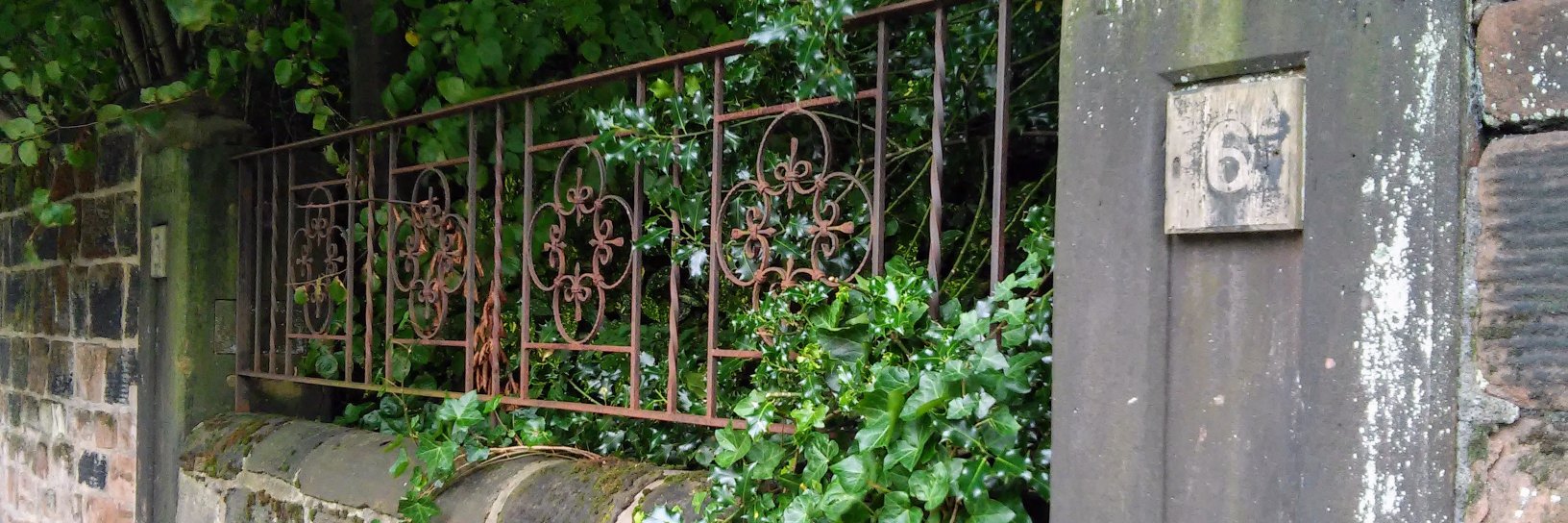 Donna Cuttress banner